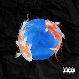 Lemonade (feat. Maxgotthetracks) Navin