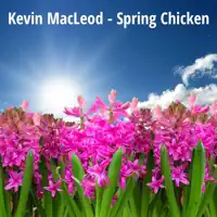 City Sunshine — Kevin MacLeod