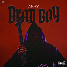 Latley (feat. Trvy) [Bonus Track] Aray