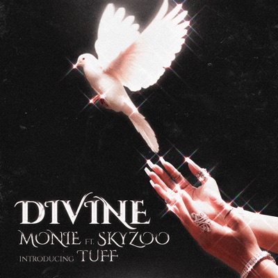 Divine (feat. Skyzoo & Tuff) - Single