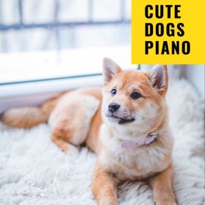 Cute Dogs Piano