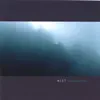 Thom Brennan - Cedars Stand Against the Rain
