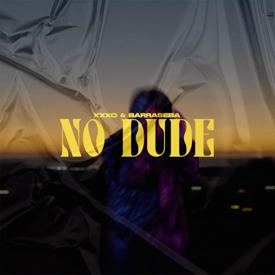 No Dude - Single