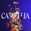 Camellia - EP