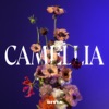 Sivia - Lifeline