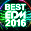 BEST EDM 2016 - Various Artists