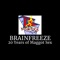 EZU EZme (feat. Last Quarter) - Brainfreeze20 lyrics