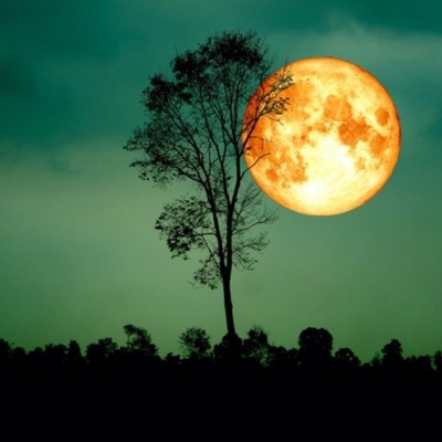 EXAM (feat. kvk) - Single