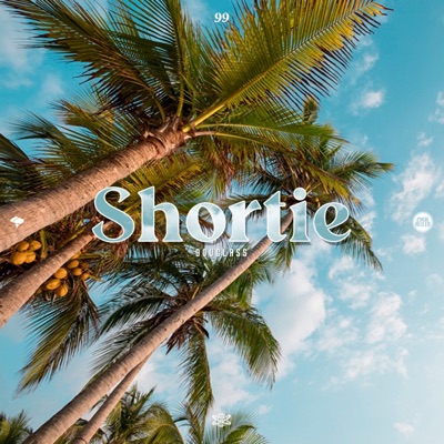 Shortie (feat. Ill' J) - Single