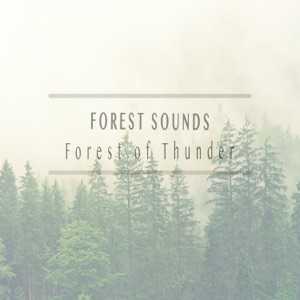 Forest of Thunder