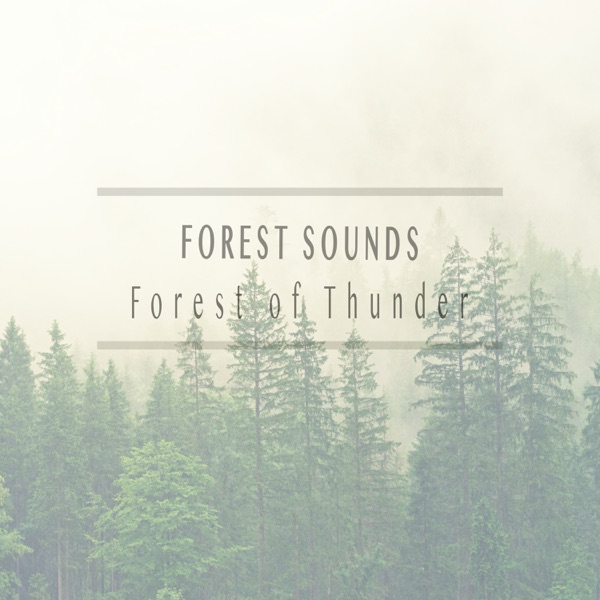 Forest of Thunder