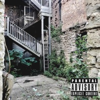 Roundabout (feat. Alligned.) - Single - MIAMI DAVE