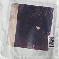 Fireworks - Single - B.K