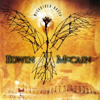 Edwin McCain - I'll Be  artwork