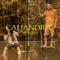 Caliandra (feat. Baezi) - Kaiô lyrics