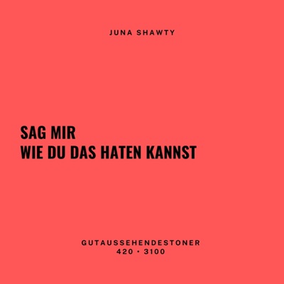 sag mir wie du das haten kannst - Single