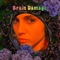 Brain Damage (feat. Rose Windows) - Globelamp lyrics
