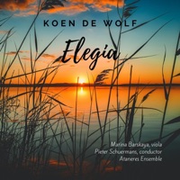 Koen De Wolf: Elegia - Single - Marina Barskaya, Pieter Schuermans & Ataneres Ensemble