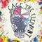 James Brown - Cage the Elephant lyrics