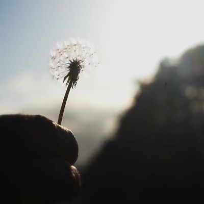 A Spring Anonymous - EP