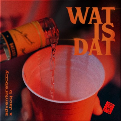 Wat is dat (feat. Jacq B) - Single
