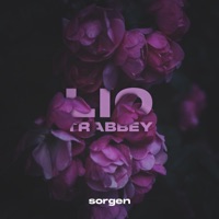 Sorgen (feat. trabbey) - Single - Lio