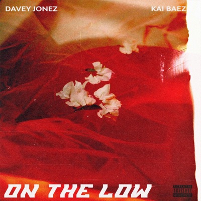 On the low (feat. Kai Baez) - Single