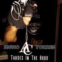 Tardes In The Hood (feat. Signo Torres) - Single - Armada Callejera