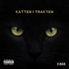 Katten i trakten by Einár iTunes Track 1