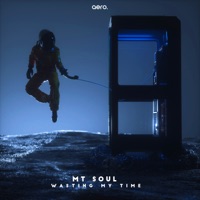 Wasting My Time - Single - Mt Soul