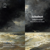 Schubert: Lebensstürme. Music for Piano Four-Hands - Duo Pleyel new Single