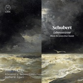 Schubert: Lebensstürme. Music for Piano Four-Hands artwork