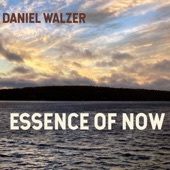 Daniel Walzer - Coming Home
