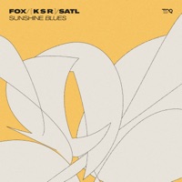 Sunshine Blues (feat. [ K S R ]) - Single - Fox & Satl