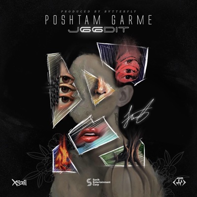 Poshtam Garme - Single