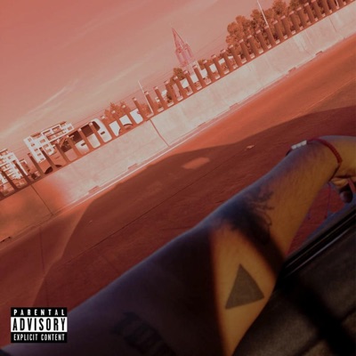 Subiendo nivel - Single