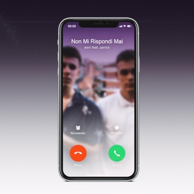 Non mi rispondi mai (feat. Panick) - Single