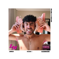 Album cover for BAD BUNNY by LO$ Migos