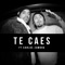 Te Caes (feat. Carlos Zamora) - Flowhuana lyrics