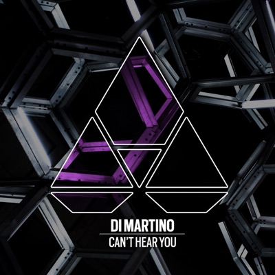 Can't Hear You - Single