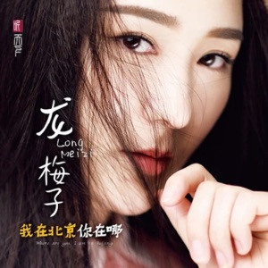 Long Mei Zi (龍梅子) - Because Of Loving You  (因為愛著你) - 排舞 音樂