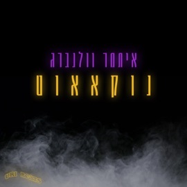 נוקאאוט איתמר וולנברג