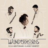 Wunderhorns artwork