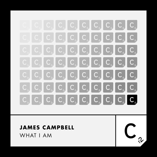 What I Am - Single