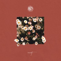 What Can Wash Away? - Single - sxxnt. & Brother Joe