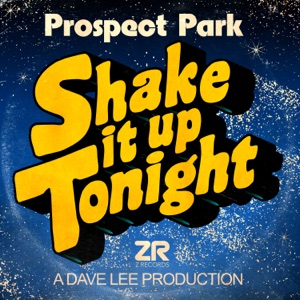 Shake It Up Tonight (Dave Lee's Jazzy Re-Shake)