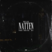 Natten (feat. Parham, Reyn & Michel Dida) - Single - Robin Kadir, Parham & Reyn