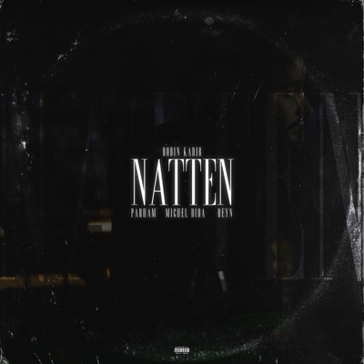 Natten (feat. Parham, Reyn & Michel Dida) - Single