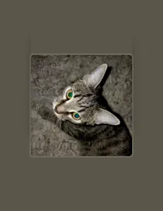 收听 qwaas、观看音乐视频、阅读小传、查看巡演日期等 ！