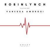 Crazy (feat. Vanessa Amorosi) [Radio version] artwork
